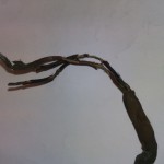 Kabel